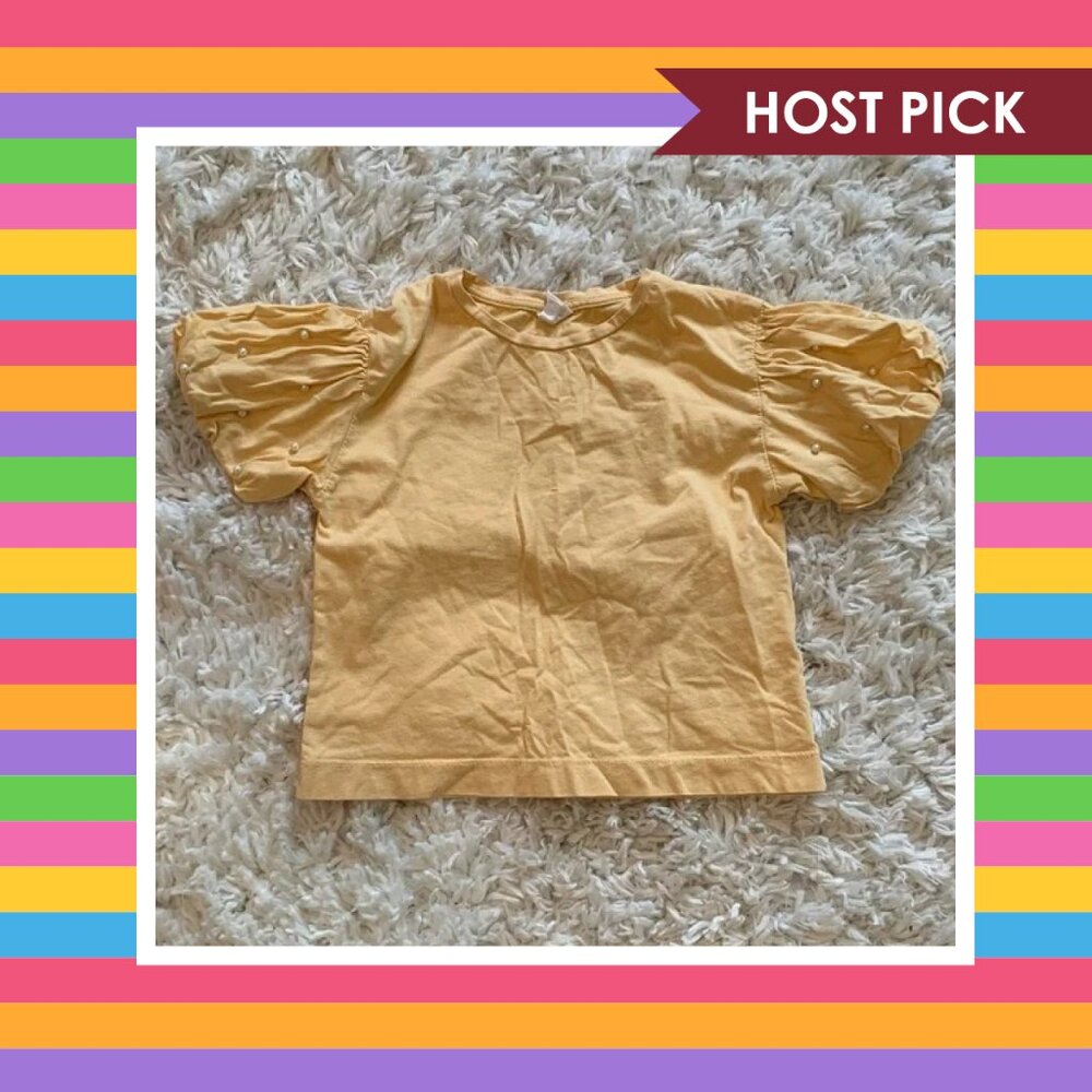 Zara Beaded Puff Sleeve Top (7)